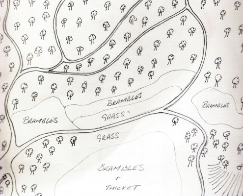 Mike's map of Woodland
