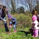 Sapling planting