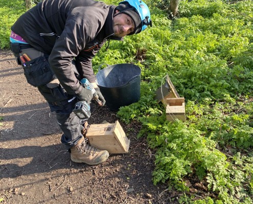 A second donated bird box from Nik.