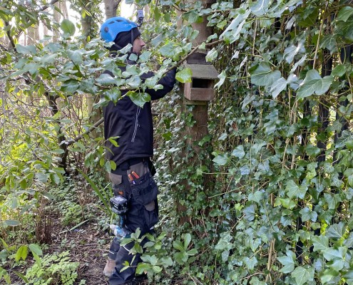 Nik kindly donated this open-fronted Blackbird / Robin nest box