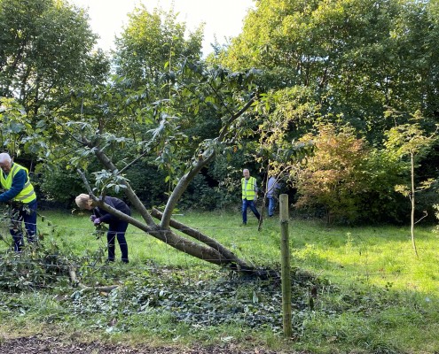 Many hand ,ake light work clearing prunings!