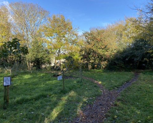 Autumn Woodland stroll with founding members from Dec 2011