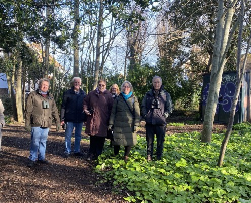 RSPB Garden Bird Count 26.1.26_4954 Garden Bird Watch 26