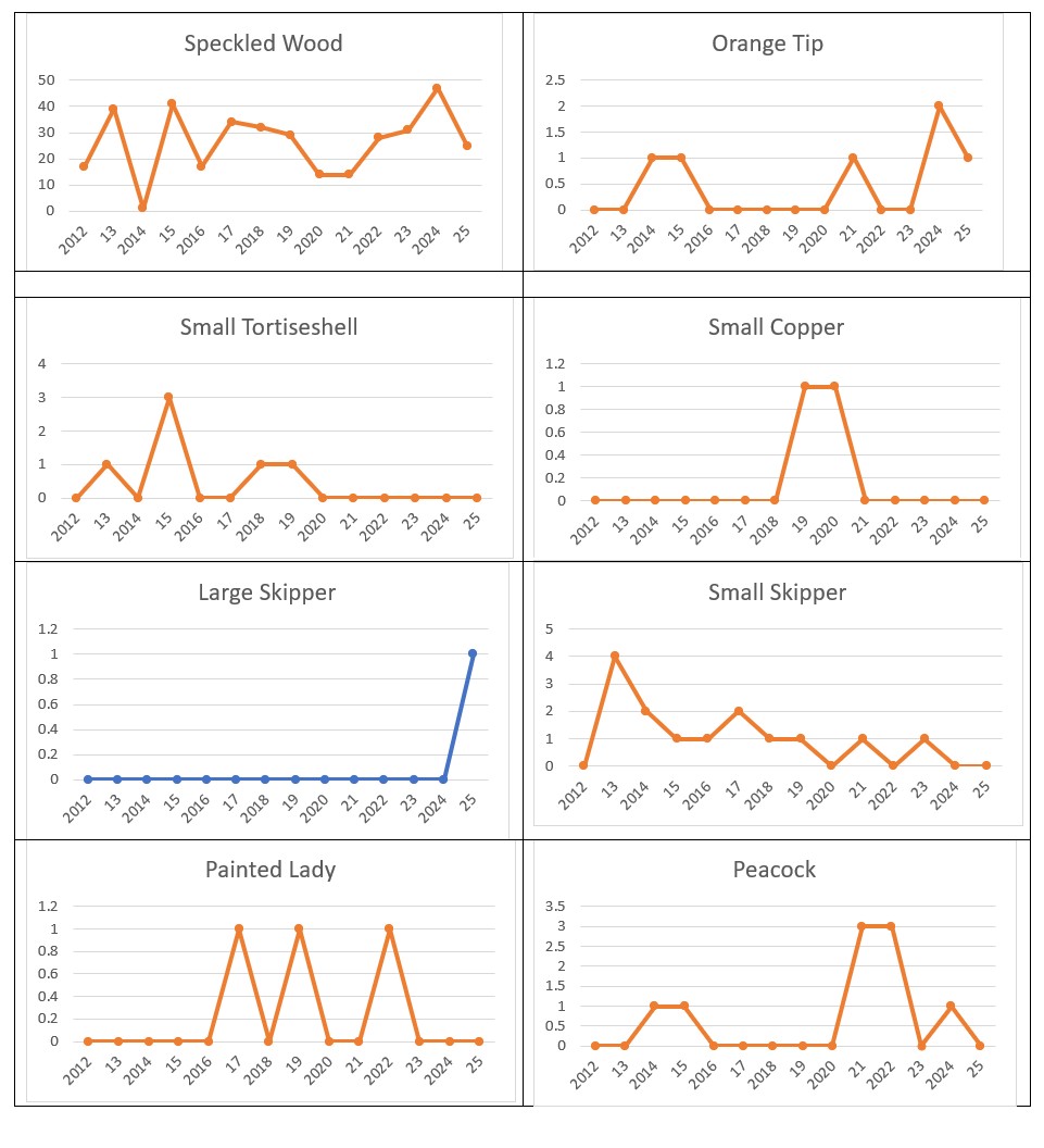 2025 data 2 Ongoing data weekly transect walk 25