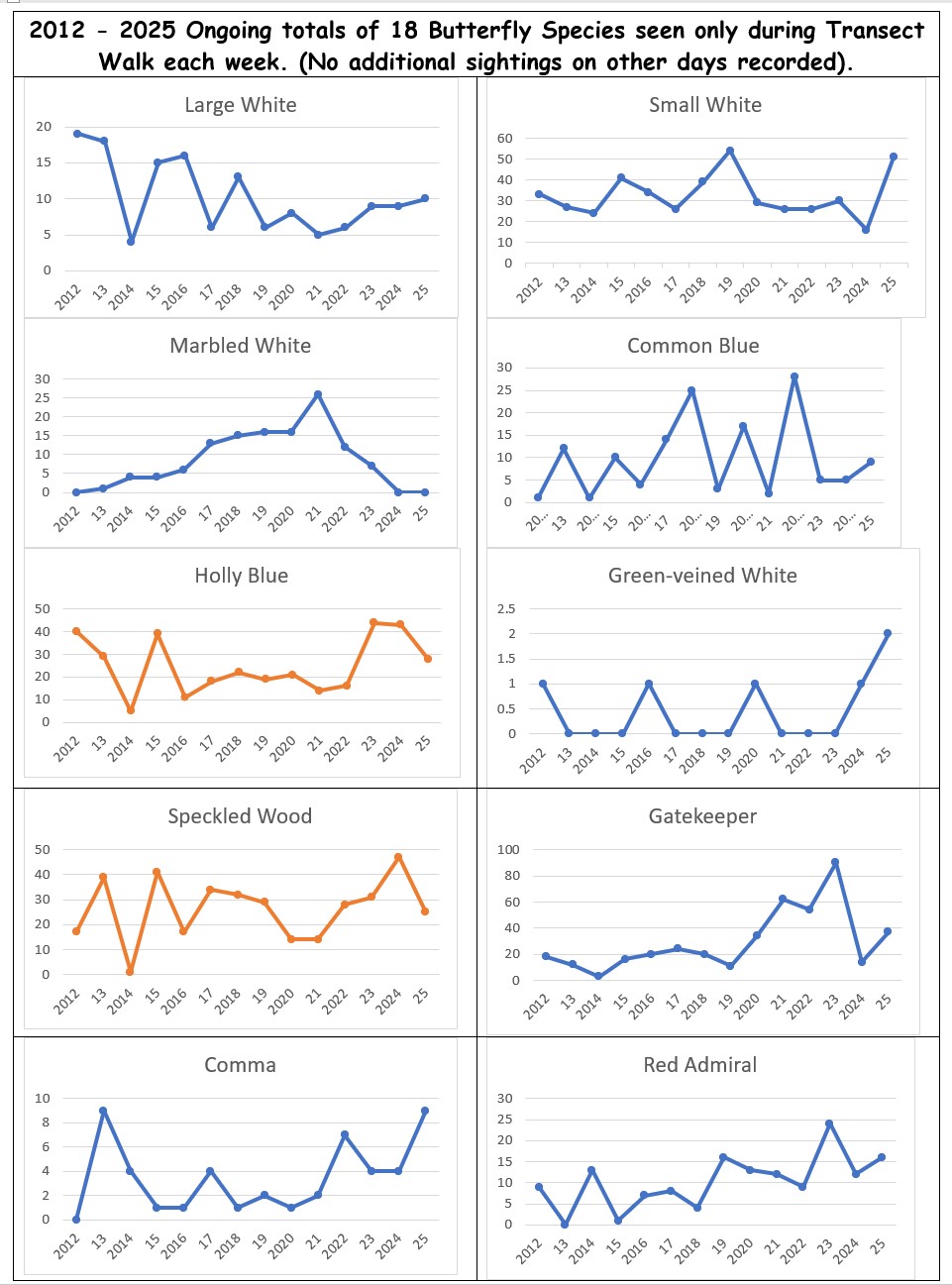 2025 data Ongoing data for BC weekly Transect